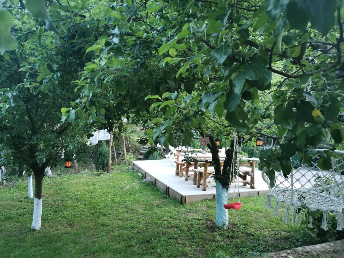 Casa Noastra Orşova Exterior foto